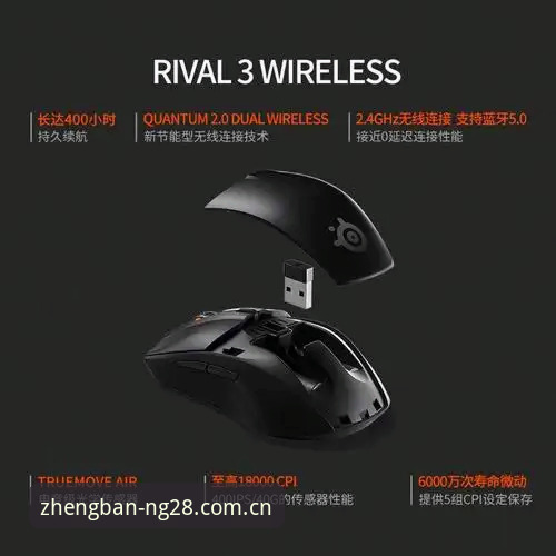 NG28下载使用指南：2024最新版安装包深度分析与操作全解析